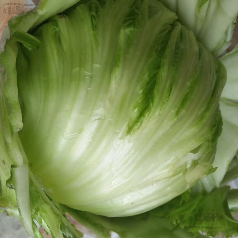 芥菜大菜菜尾包心广东潮汕揭西客家特产500克蔬菜干