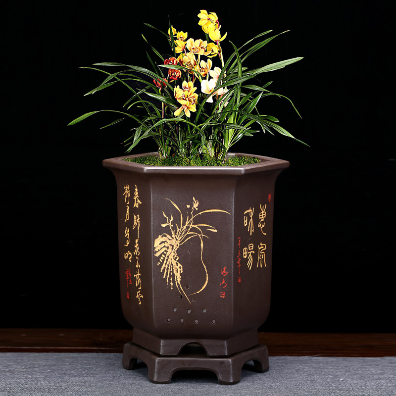 兰花专用宜兴陶瓷盆景大号精品高档紫砂兰草花盆