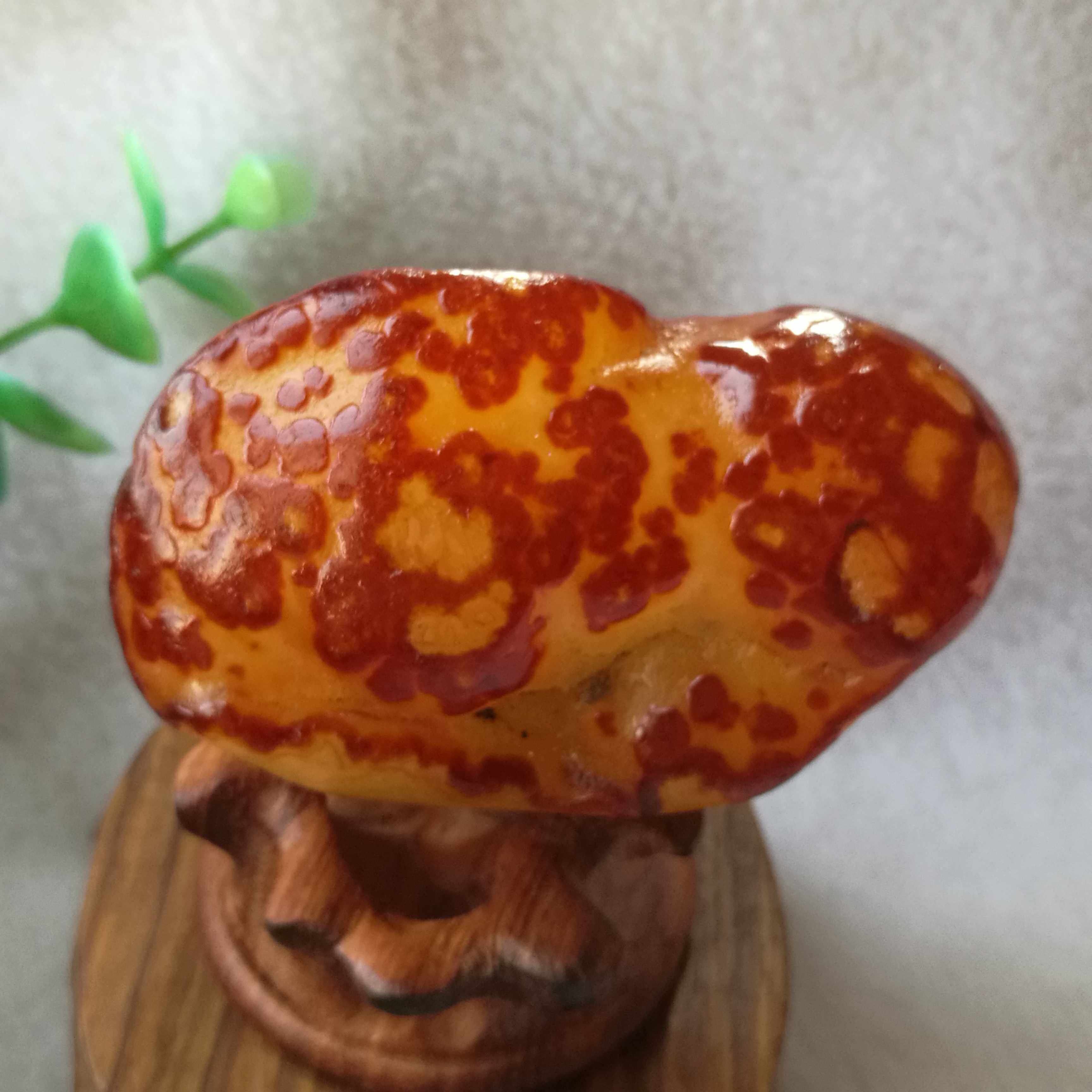 纯天然马岛花纹玛瑙原石摆件金蟾红润通透图案摆件