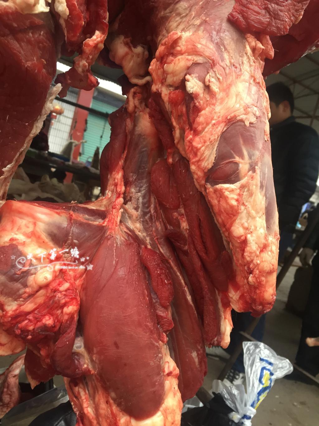 牛肉新鲜肉牛放养黄牛肉现杀牛腩牛腱后腿里脊其它干货