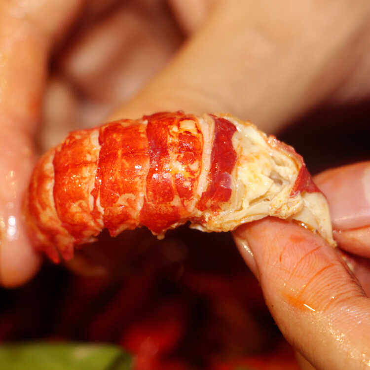 大号虾尾北京闪送小龙虾鲜活现剥小龙虾尾新鲜冷冻 虾尾 1斤装