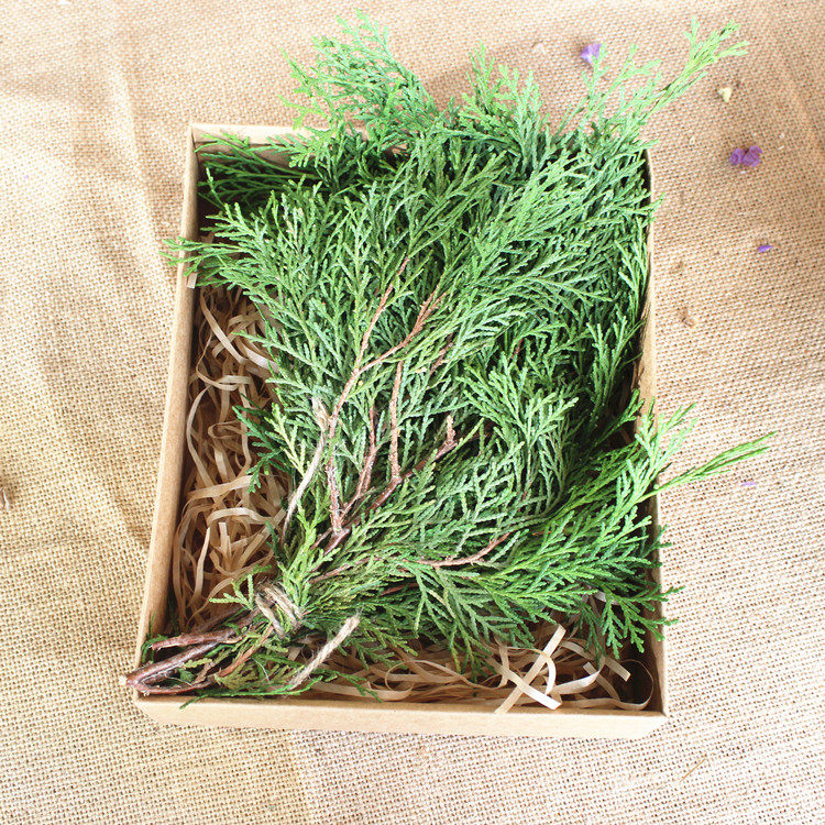 天然绿色松柏柏枝松针圣诞节花环圣诞树手作材料干花