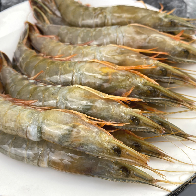 2斤舟山野生滑皮新鲜冷冻特大超大剑条鲜活冻虾