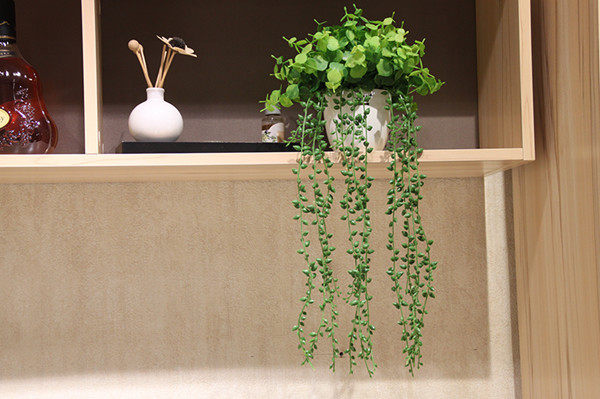 墙面装饰花 挂墙壁吊兰现代时尚简约 - 花开了丝网花