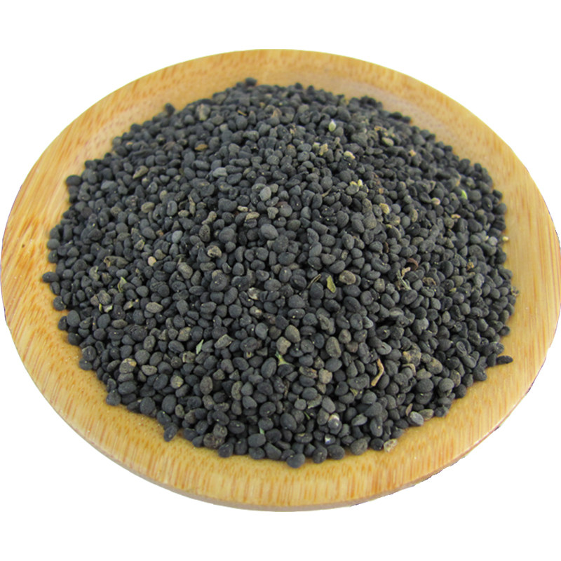 黄芩种子500g黄芪甘肃2020年党参黄芩