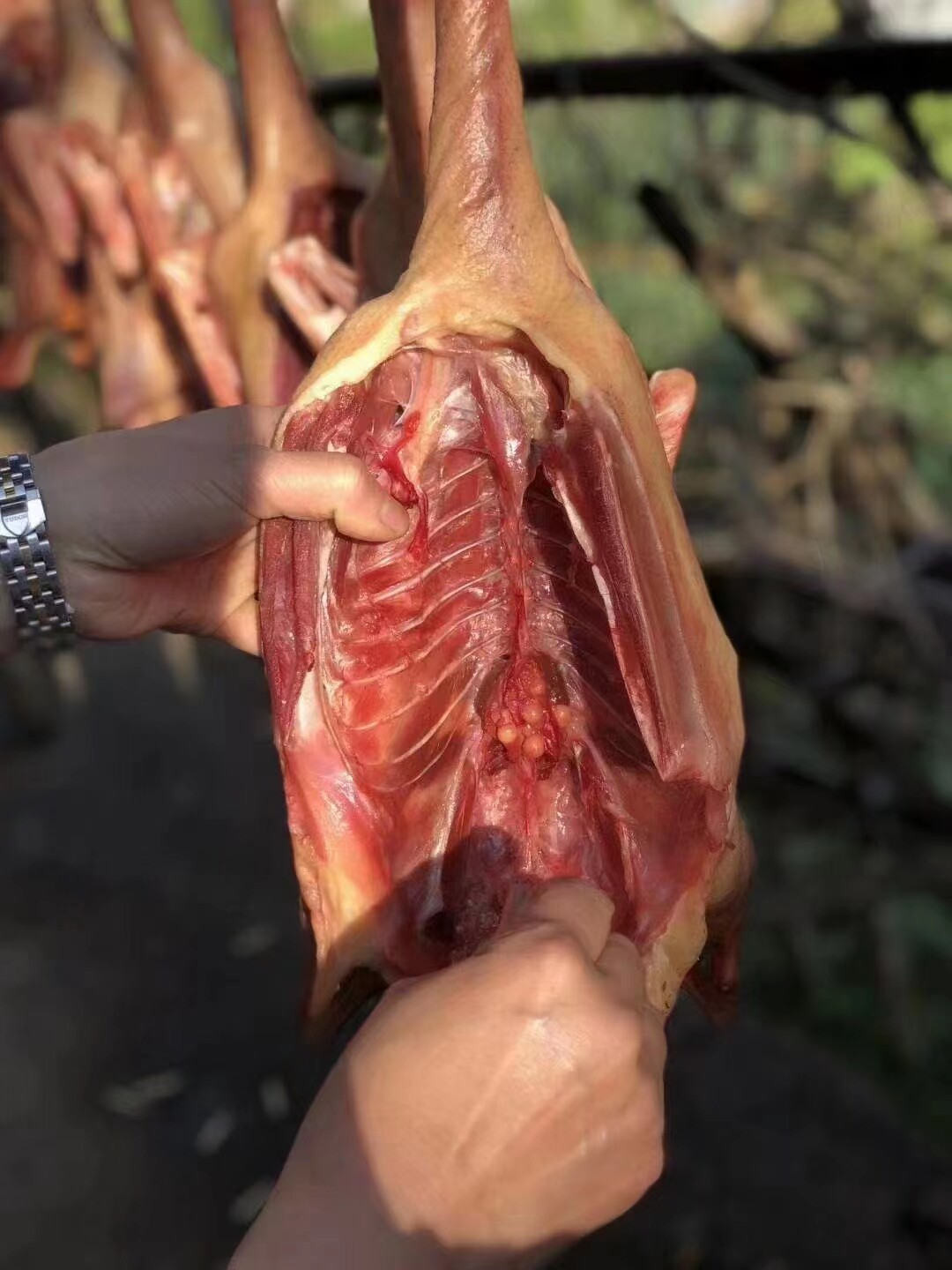 酱鸭绍兴安昌古镇特产呆婆风干酱香三年老鸭烤鸭