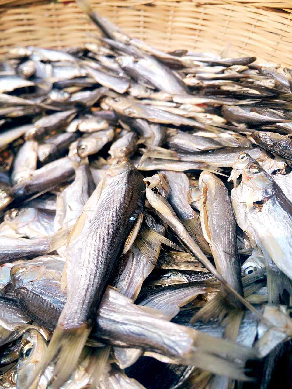 绍兴铲鱼野生子鱼干货咸鱼新货风干淡水翘嘴鱼干