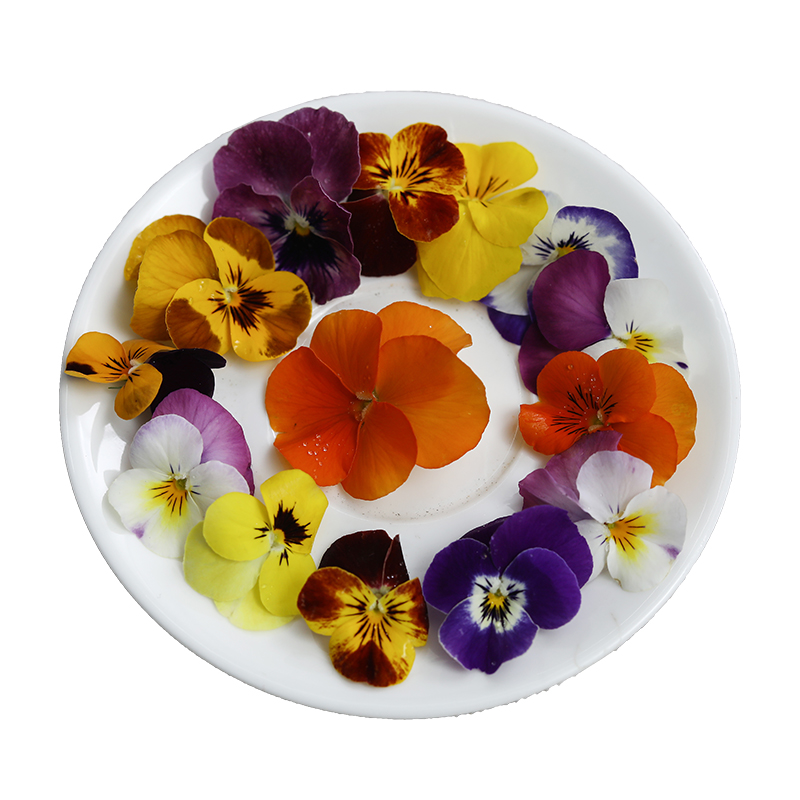 新鲜100朵点缀鲜花可食用装饰三色花草摆盘西餐其它