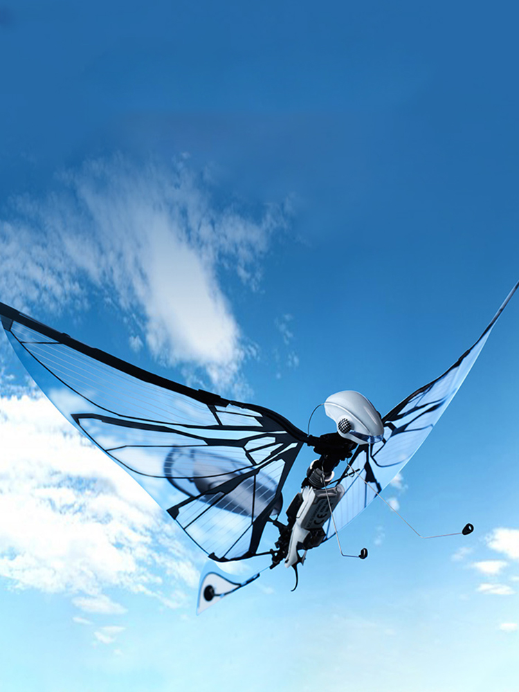 仿生鸟智能飞行昆虫电动遥控玩具小型无人机飞行器