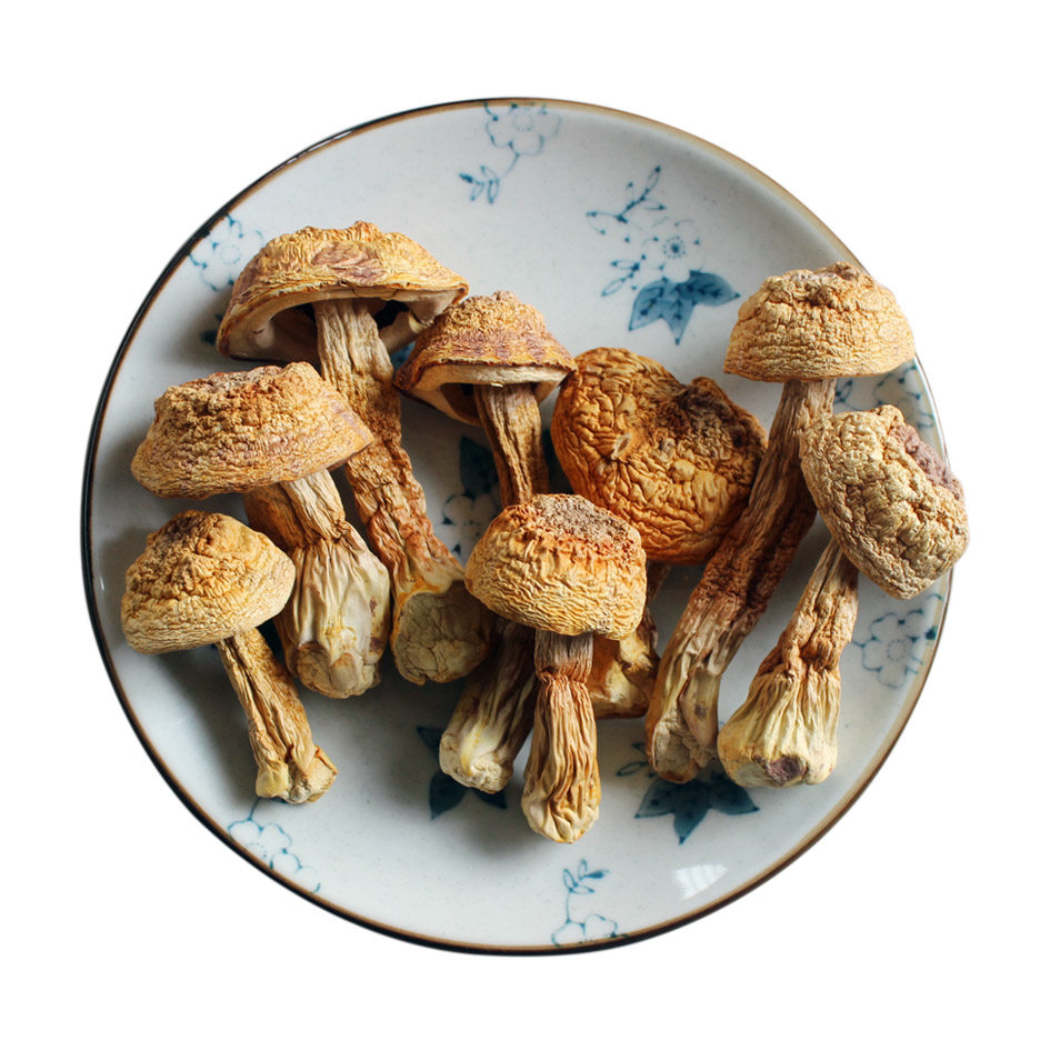 干货松茸云南姬松巴西蘑菇精选菌菇250g包邮姬松茸