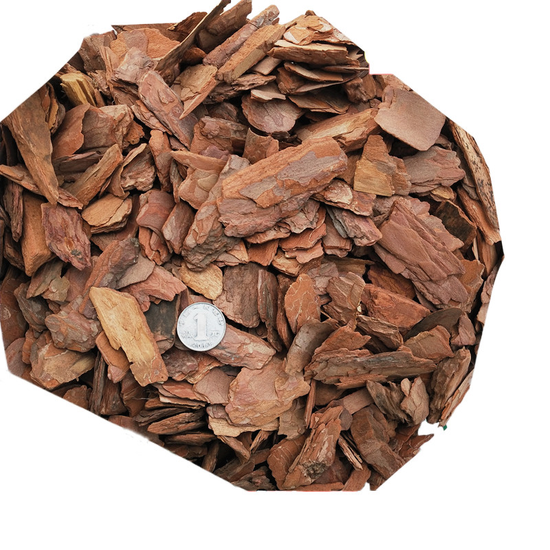 松鳞松树树皮爬虫花盆覆盖打磨型500g克中促销介质