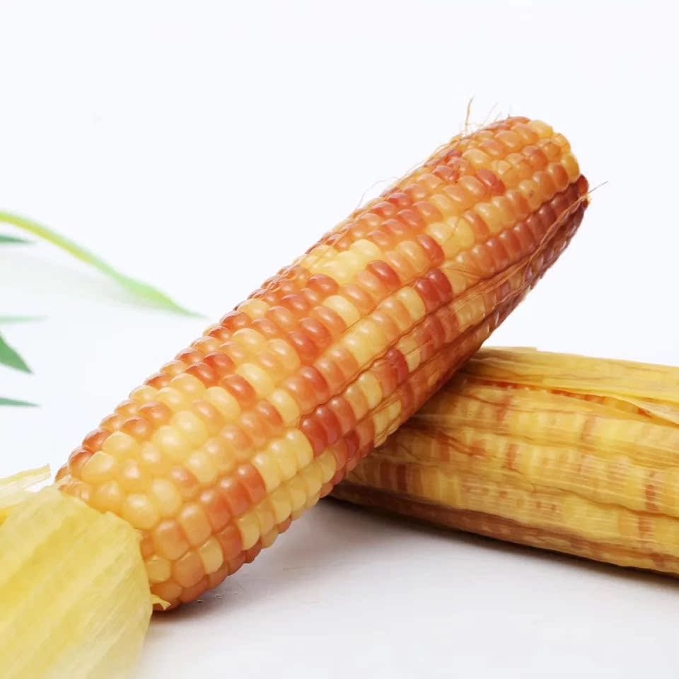 傣萨金谷西双版纳甜香糯小玉米8斤16-25根 开心傣农非转基因0添加