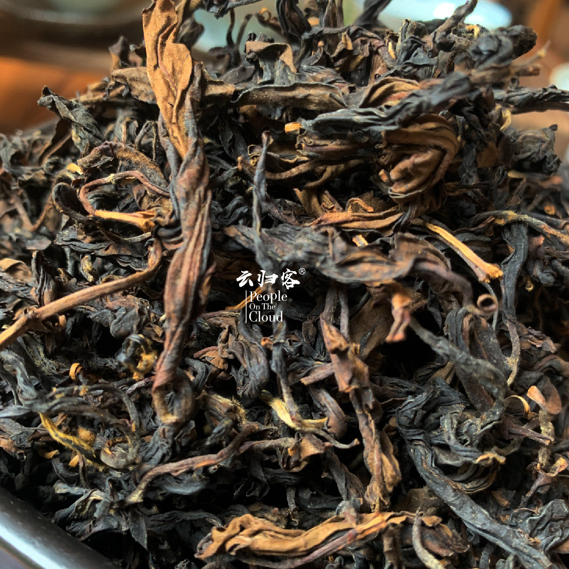 野生归客头春野古树单株红晒红云云南白莺山野滇红