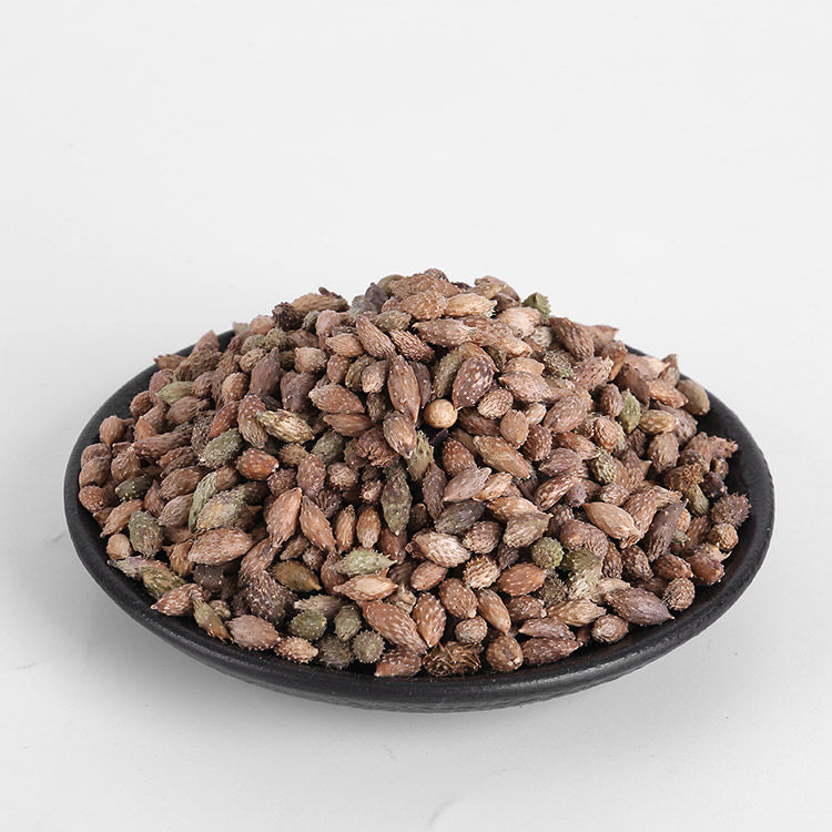 中药材供应 苍耳子 苍子 牛虱子 猪耳 菜耳 老苍子500g克 2件包邮