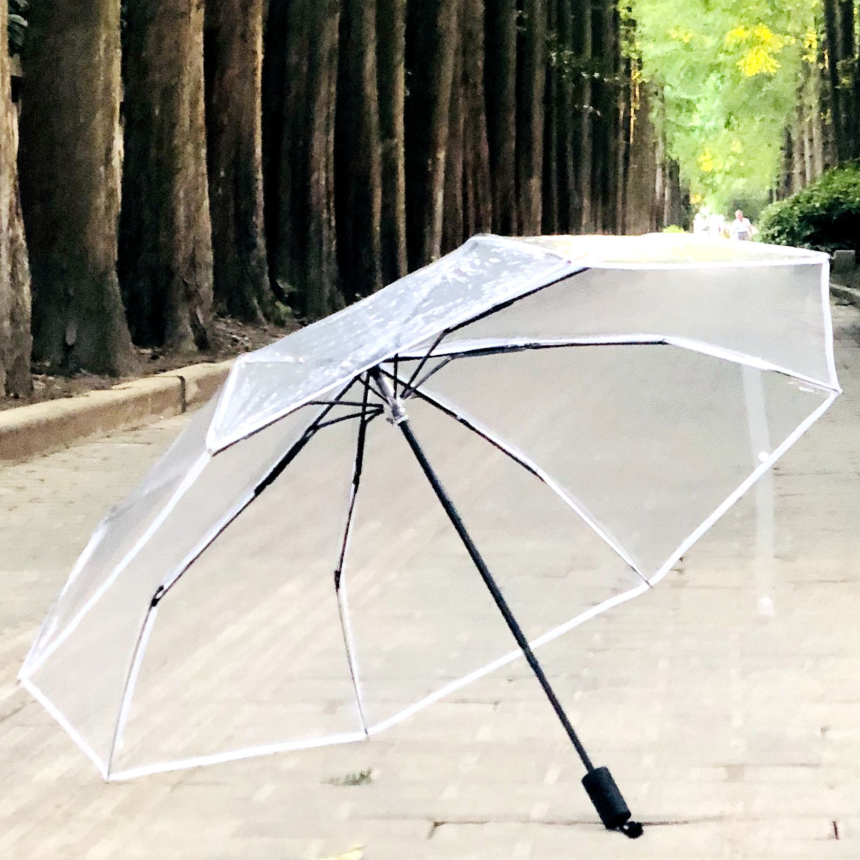 透明雨伞qiutong彩色折叠三折创意包邮樱花伞女士伞