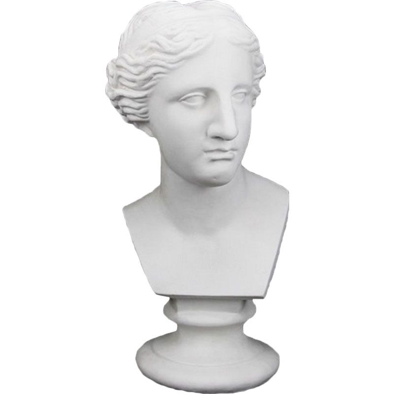 石膏头像维纳斯胸像63cm素描写生练习专用美术用品白模填色