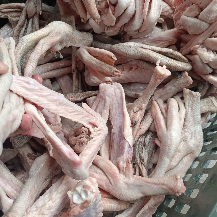 鹅掌5斤正宗广东清远棕鹅新鲜脚翅肾珍肝发鹅肉