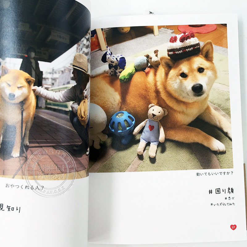 现货深图日文柴犬まるのイヤイヤさん狗狗写真日本摄影集日文原版进口
