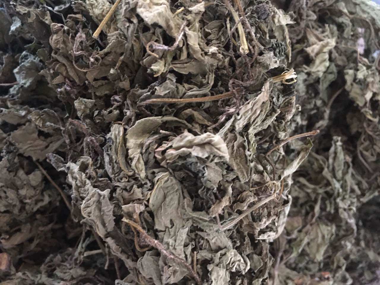 野苏苏子叶子叶调料朝鲜族做鱼去腥纯野干野其它干货