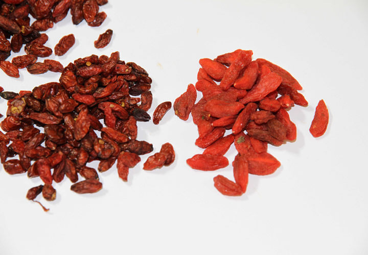 东北长白山野生枸杞子250g干大免洗泡茶正品老农散装袋装