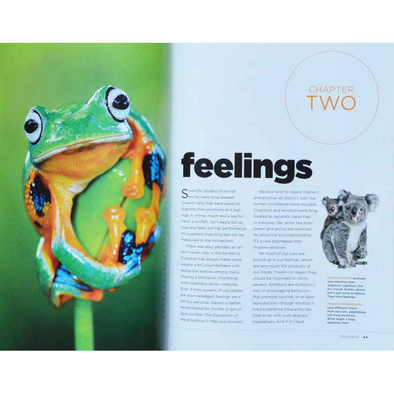 【期刊杂志】美国国家地理特刊 inside animal m