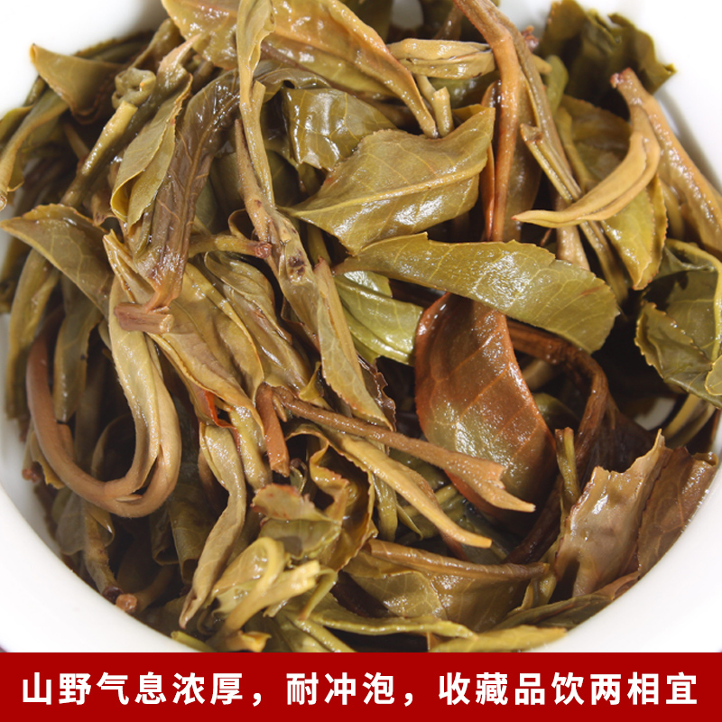 云南善诚普洱生茶勐海巴达生饼野生乔木老树头春普洱