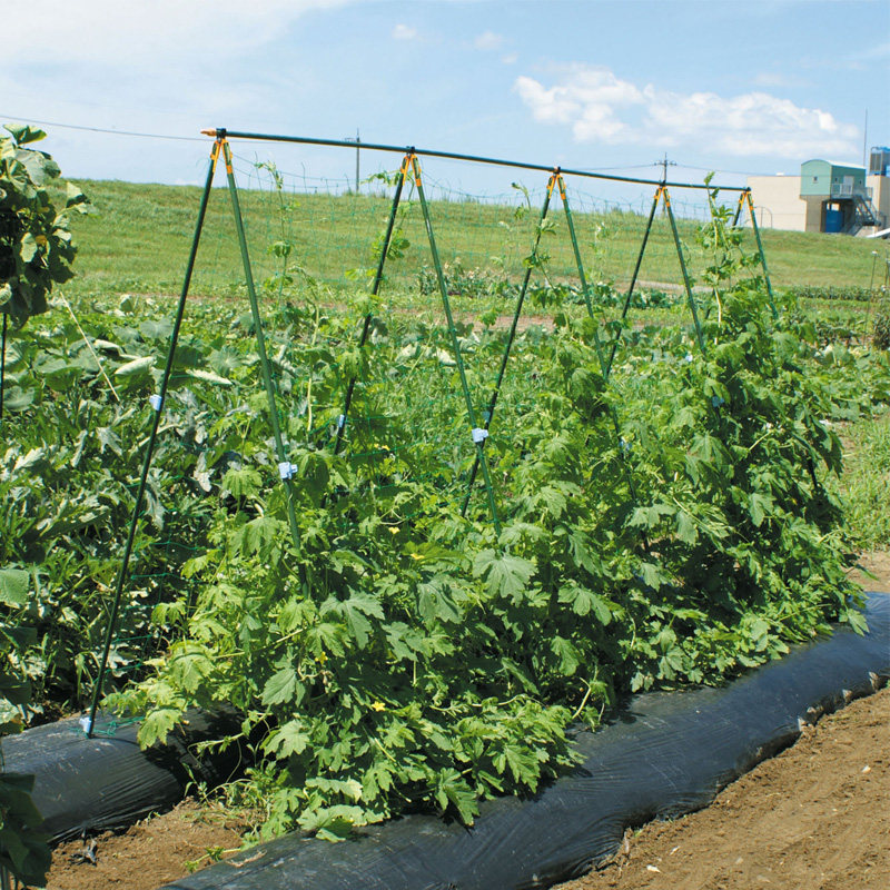 菜园园艺支架葫芦丝瓜豆角黄瓜蔬菜种植水果花架