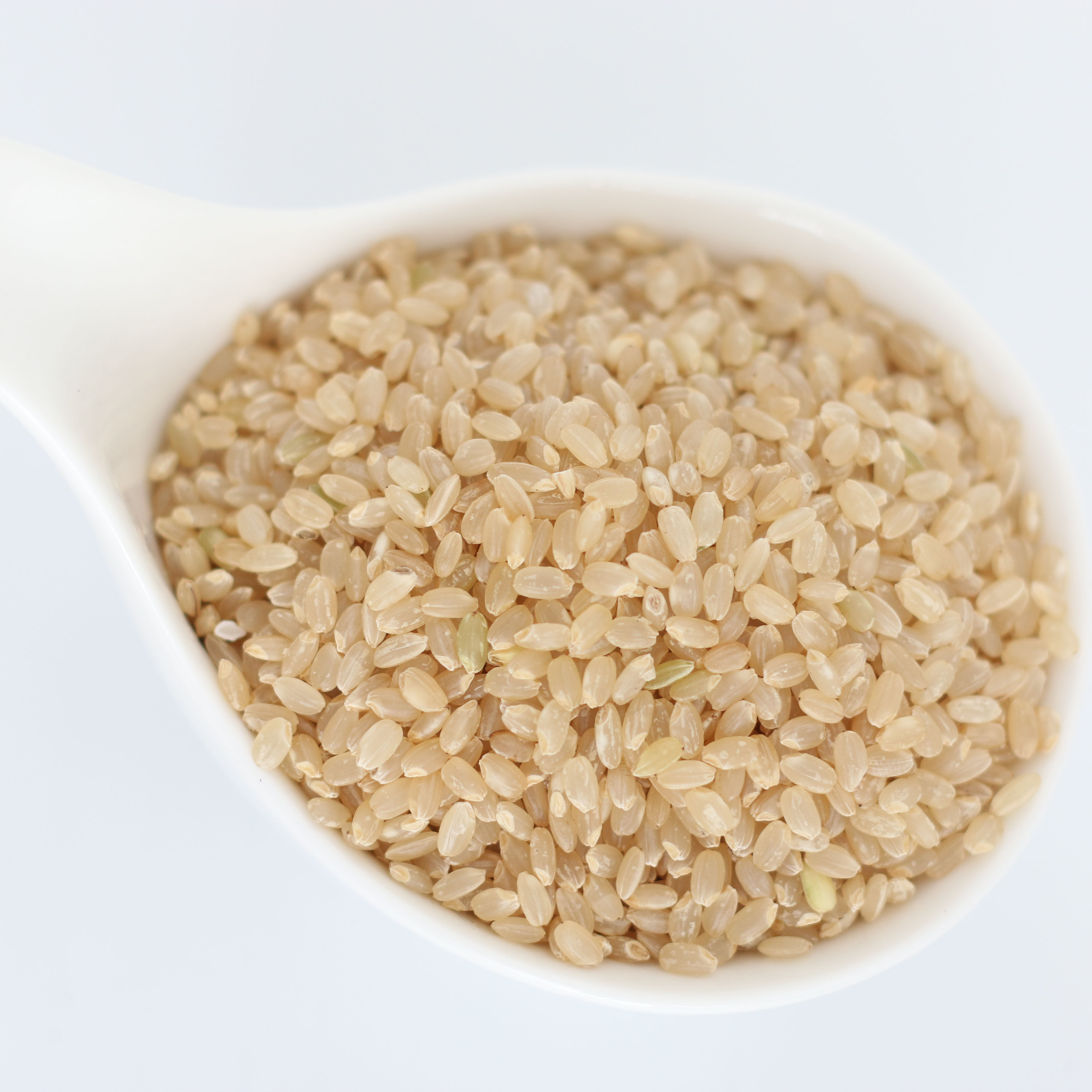 农家新糙米玄米五谷杂粮糙米芽米当季新糙米