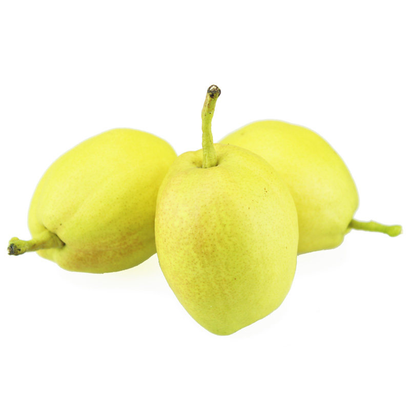 新疆香梨3粒400g盒脆甜爽爽口果肉细腻无渣梨