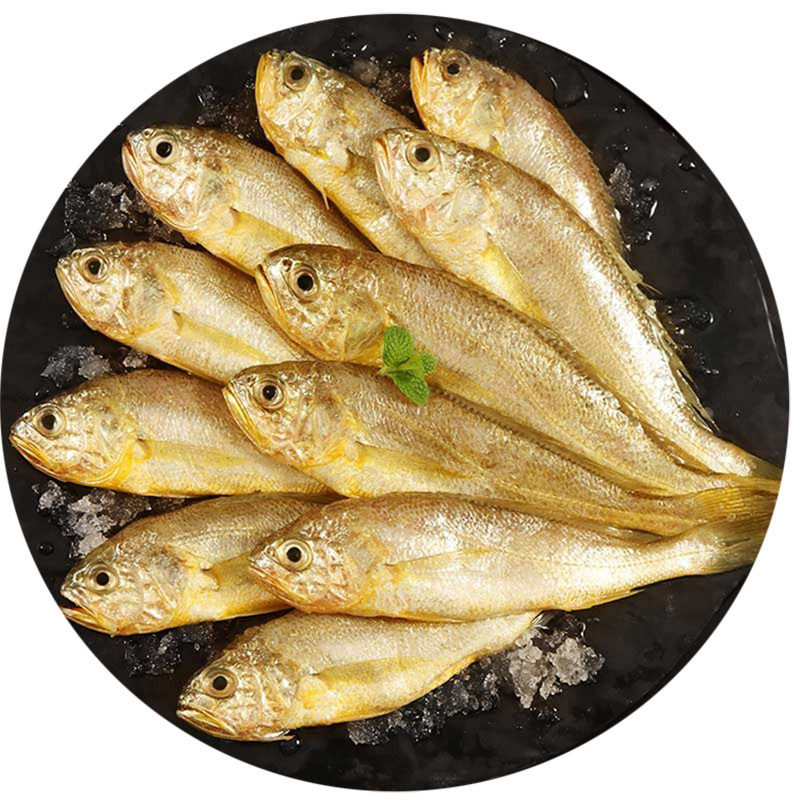 黄花鱼小黄八丁渤海350g新鲜野生东海黄花海鲜黄鱼