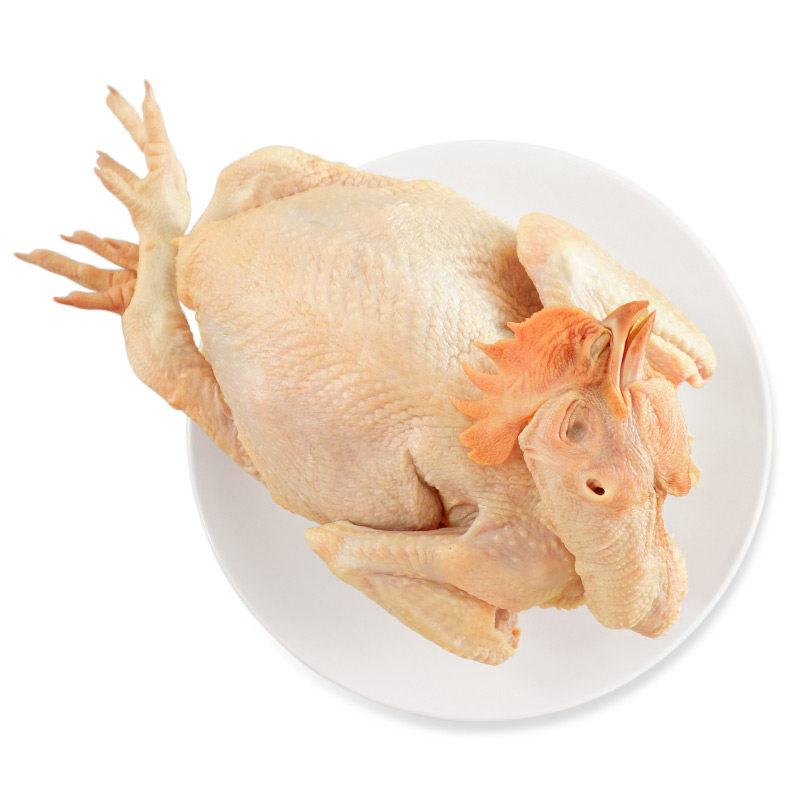 温氏三黄鸡散养土鸡800g谷物喂养走地鸡慢养正宗土鸡肉生鲜食品