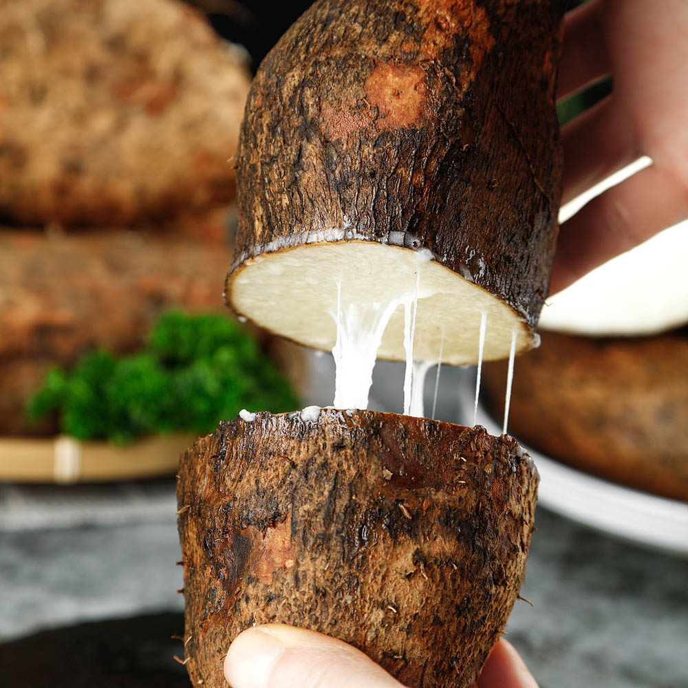 山药云南高原秤砣灵芝3斤单件包邮新鲜山药