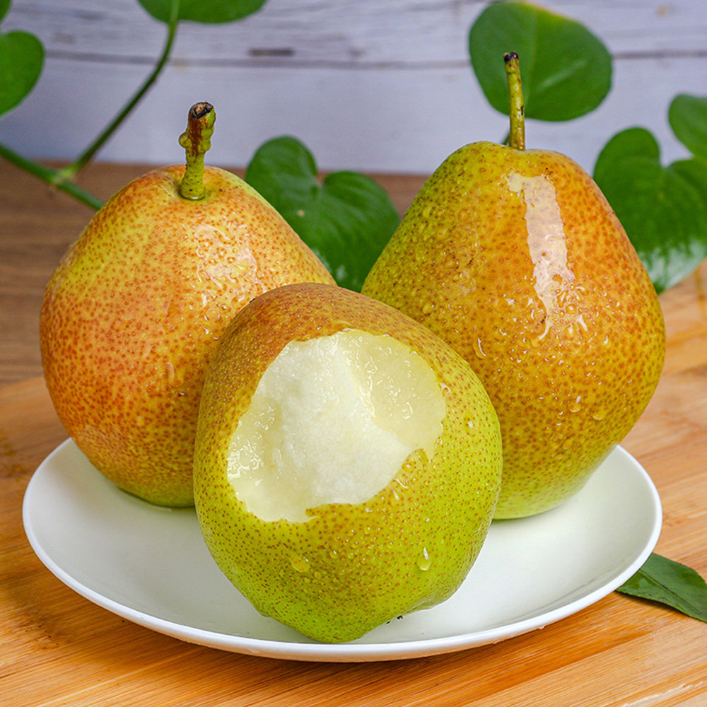 东方葵园东方葵园新疆红香酥梨9斤装单120g新鲜梨