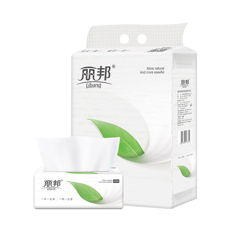 丽邦柔韧抽纸 一叶子系列4层300张12包实惠装 纸品家用餐巾纸纸巾