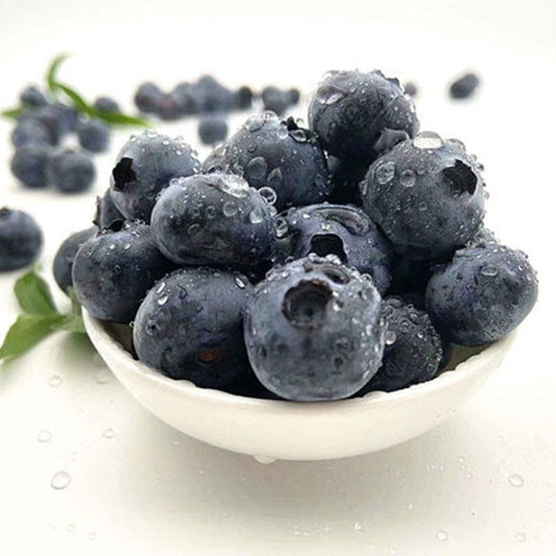 智利进口蓝莓4盒装125g新鲜水果蓝莓