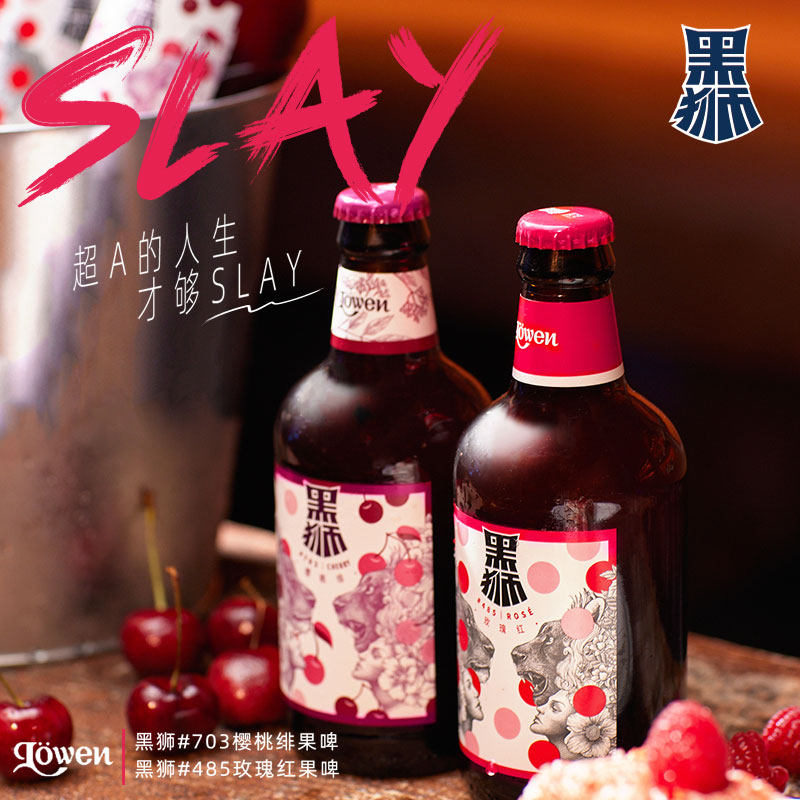 临期品进口米歇尔michael啤酒500ml24罐波兰黄啤临期清仓特价整箱