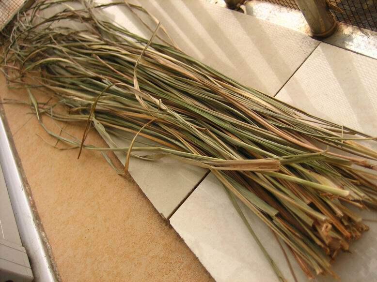 香茅草粉香道45香茅草香浴制香香薰香料泡脚香药茅香草100克