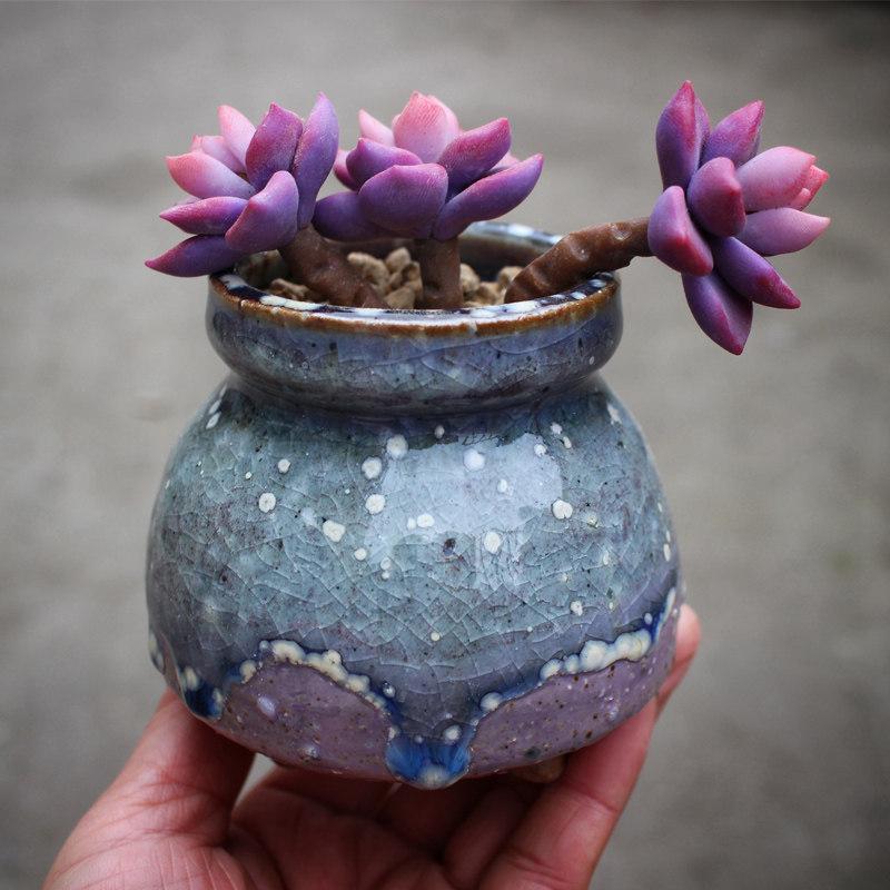 多肉网红奶罐手工粗陶小号控型牛奶花器流釉花盆