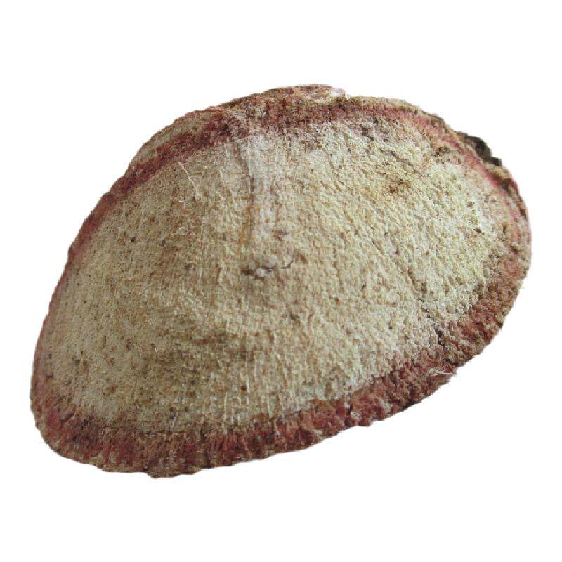 500g血风根老人茎藤血枫坐月子洗澡客家家中草药养生茶