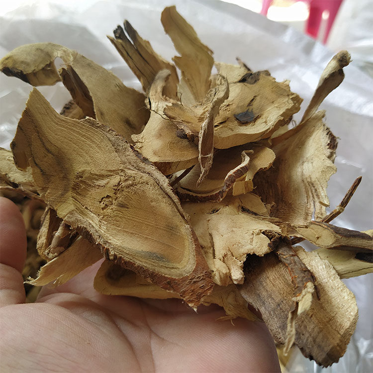 500g新货老桑树根优质实拍桑头桑根桑葚根酸梅其他药食同源食品