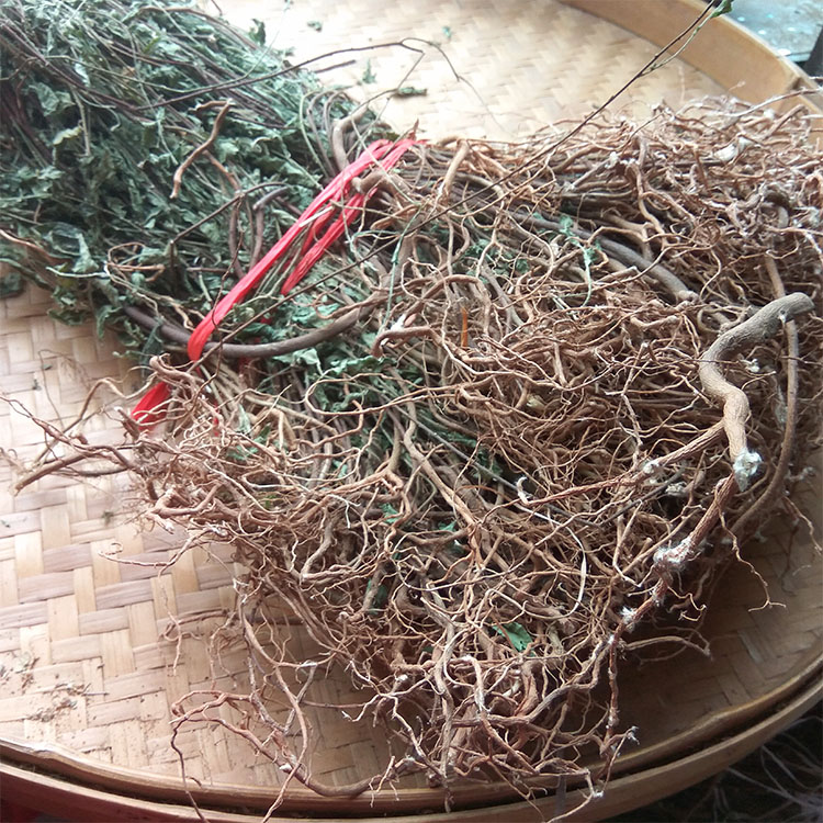 500g白花地棉根九信草新品野生优质切货无硫煲汤料中草药材包邮