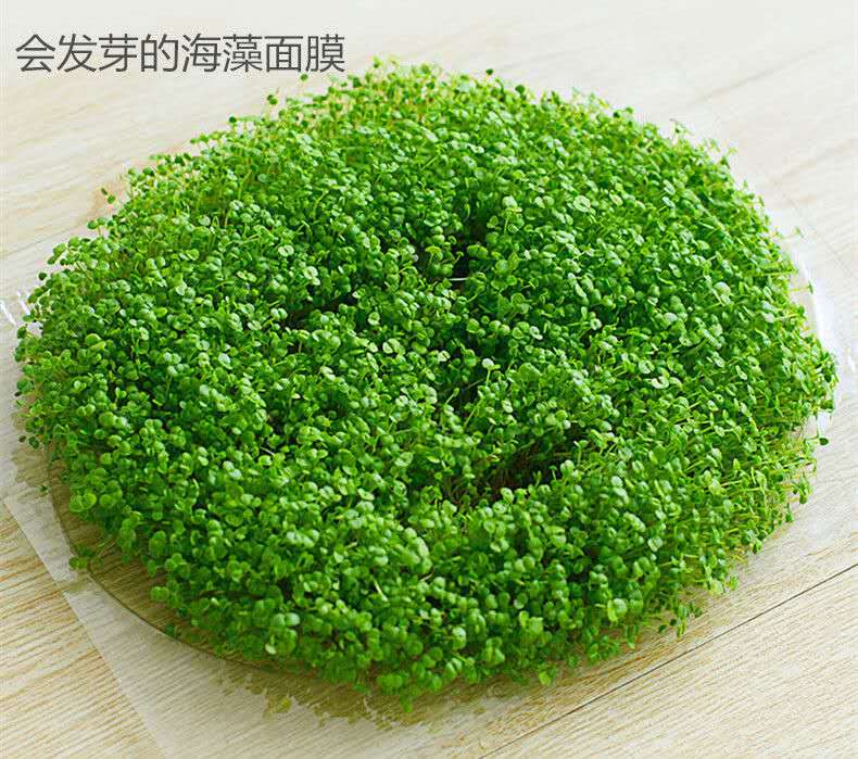 玫瑰传说颗粒800g肤色提亮保湿补水天然海藻面膜贴片面膜