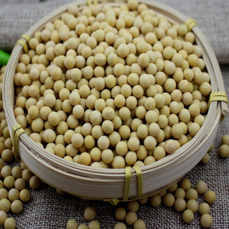 5斤2018年生黄豆粉农家现磨新纯黄豆面粉做豆腐脑豆浆煎饼大豆面