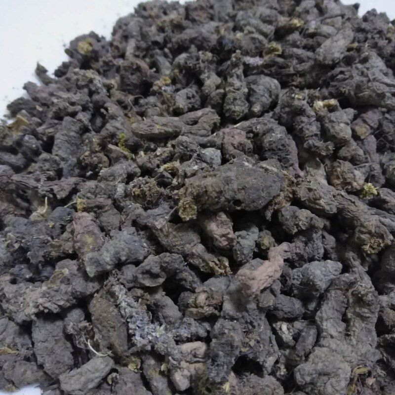 天然野生天葵子紫背天葵天葵草千年老鼠屎金耗子屎500克包邮