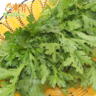 东升农场有机春菊花菜蓬蒿广州蔬菜配送250g其它