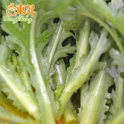 东升农场有机春菊花菜蓬蒿广州蔬菜配送250g其它
