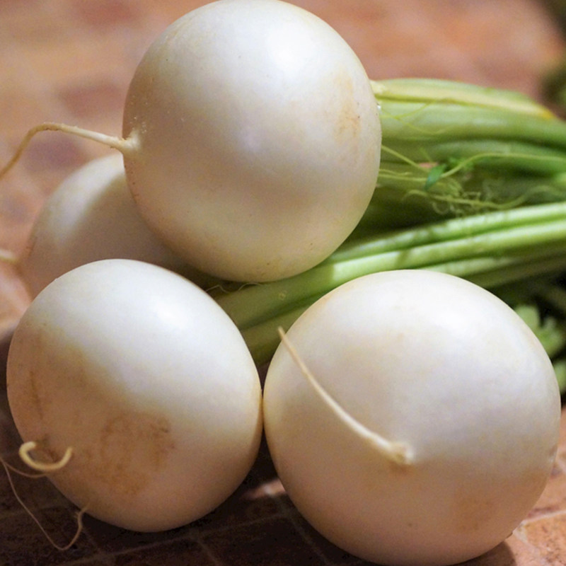 恩施山客农人春不老萝卜天然绿色高山新鲜蔬菜5斤装包邮