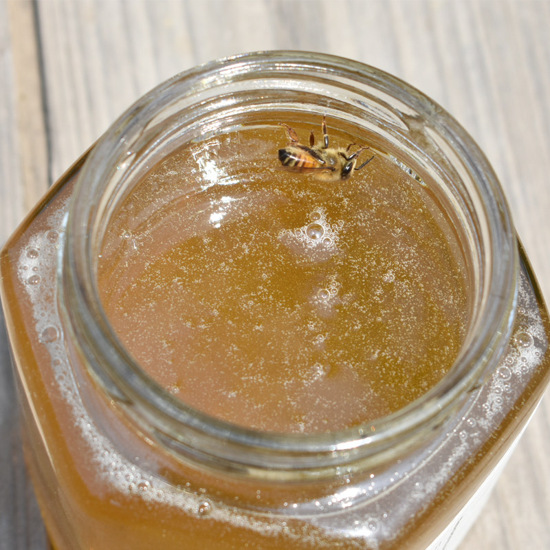 纯天然农家自产苹果蜜孕妇正宗不添加真正野生土蜂蜜苹果花原峰蜜