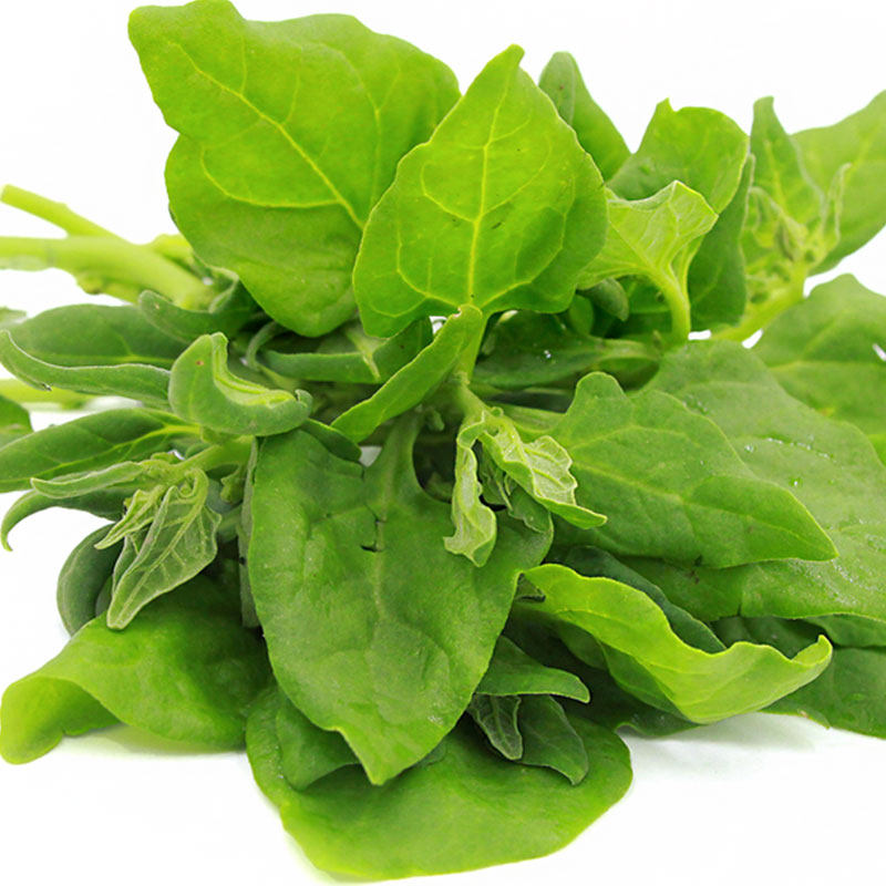 番杏种孑洋菠菜高产抗病四季小菜青菜观一年生小菠菜家庭园艺种子