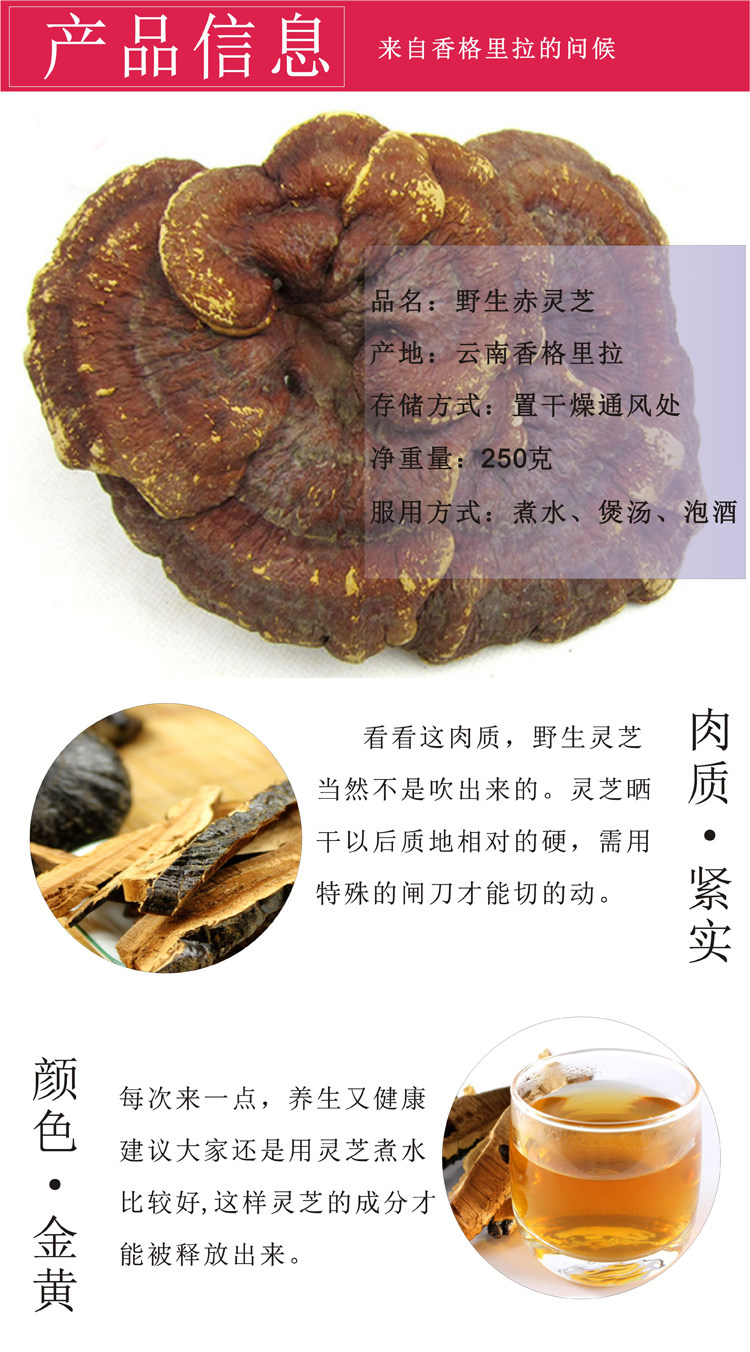 灵芝赤芝纯野野生整枝深山纯天然赤灵正品五色整枝灵芝